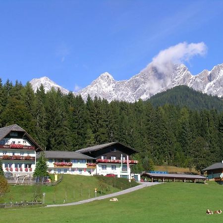 Hotel Tischlbergerhof رامساو أم داتشستين المظهر الخارجي الصورة